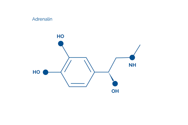 Chemische Darstellung von Adrenalin zur Behandlung von Anaphylaxie